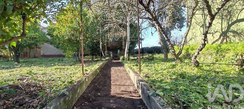 Moradia T4 à venda em Proença-a-Nova e Peral, Proença-a-Nova — foto 24