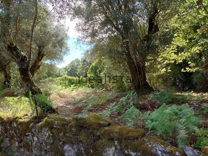 Moradia T2 à venda em Pinheiro, Vieira do Minho — foto 3