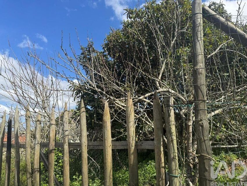 Moradia T2 à venda em Aljubarrota, Alcobaça — foto 9