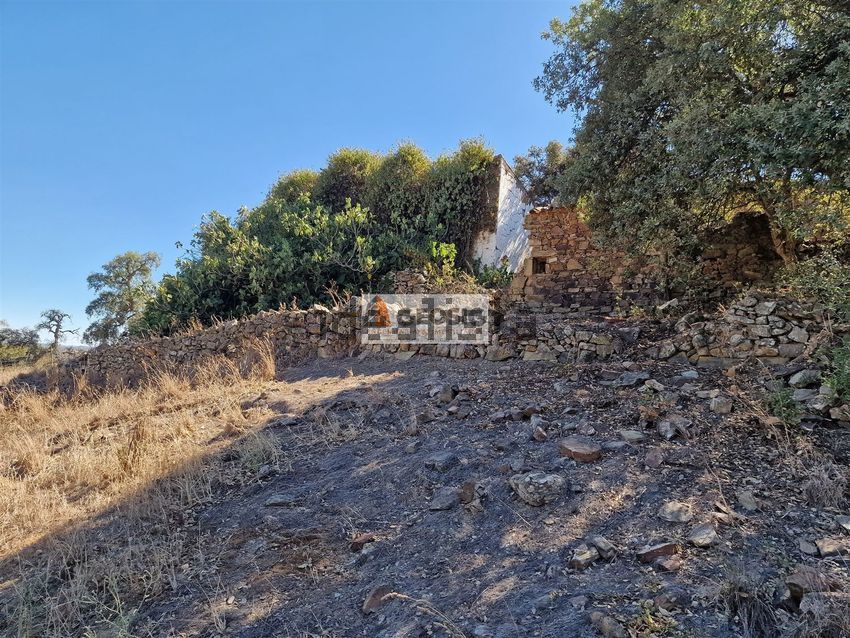 Moradia T3 à venda em Santa Cruz, Almodôvar — foto 7
