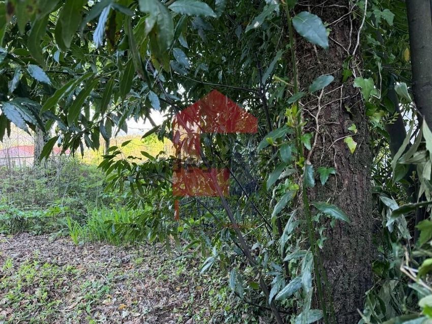 Moradia T2 à venda em Vade, Vila Verde — foto 14