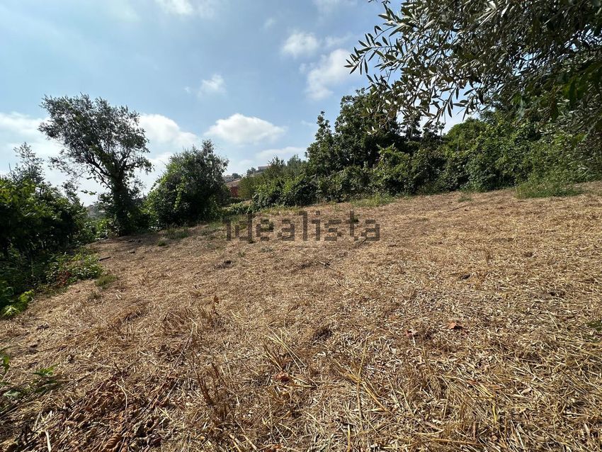 Moradia T3 à venda em Treixedo e Nagozela, Santa Comba Dão — foto 28