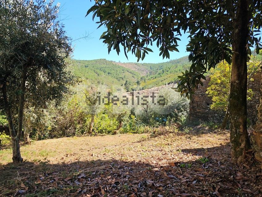 Moradia T3 à venda em Orvalho, Oleiros — foto 38