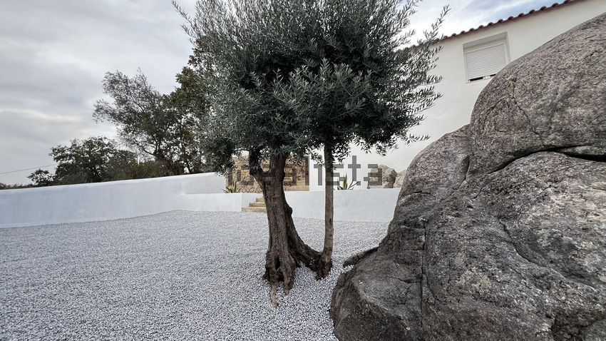 Moradia T2 à venda em Ribeira de Nisa e Carreiras, Portalegre — foto 36