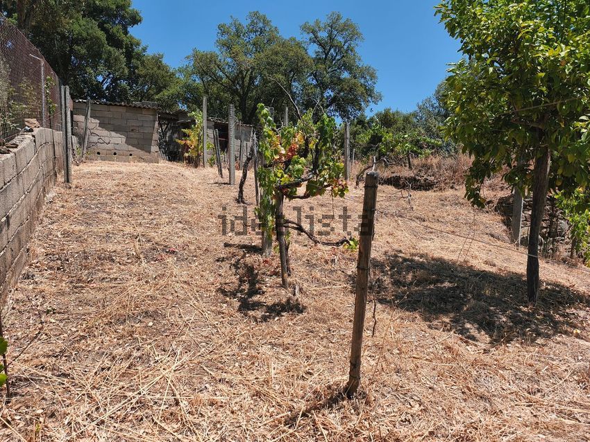 Moradia T4 à venda em Aranhas, Penamacor — foto 31