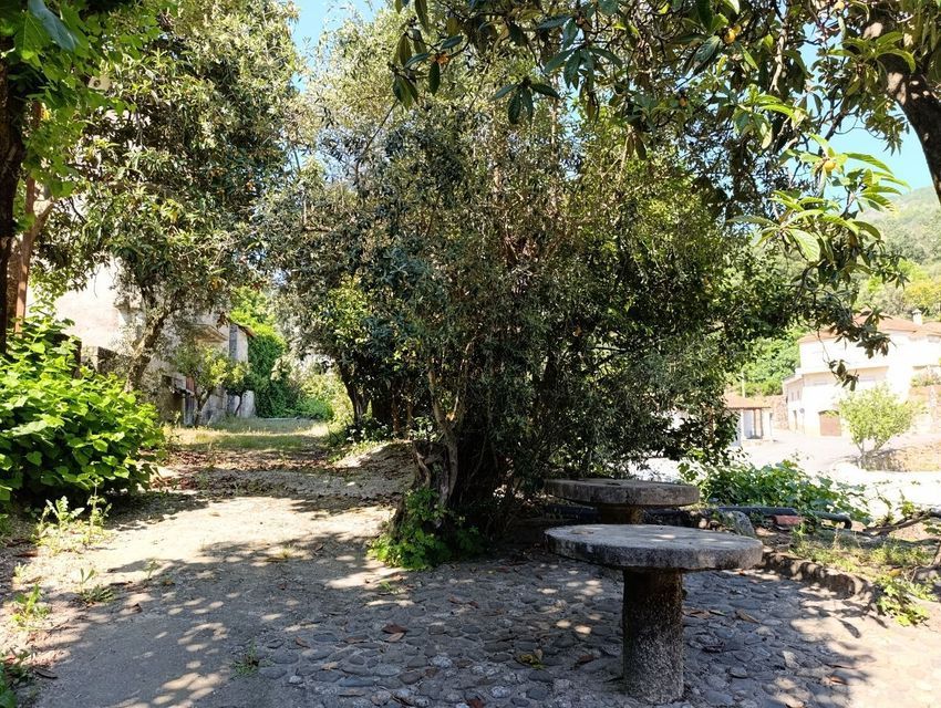 Moradia T5 à venda em Famalicão, Guarda — foto 5