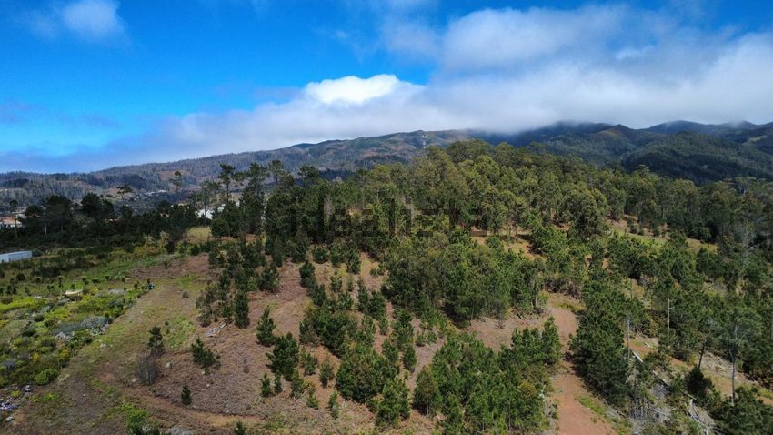 Moradia T4 à venda em Prazeres, Calheta — foto 7
