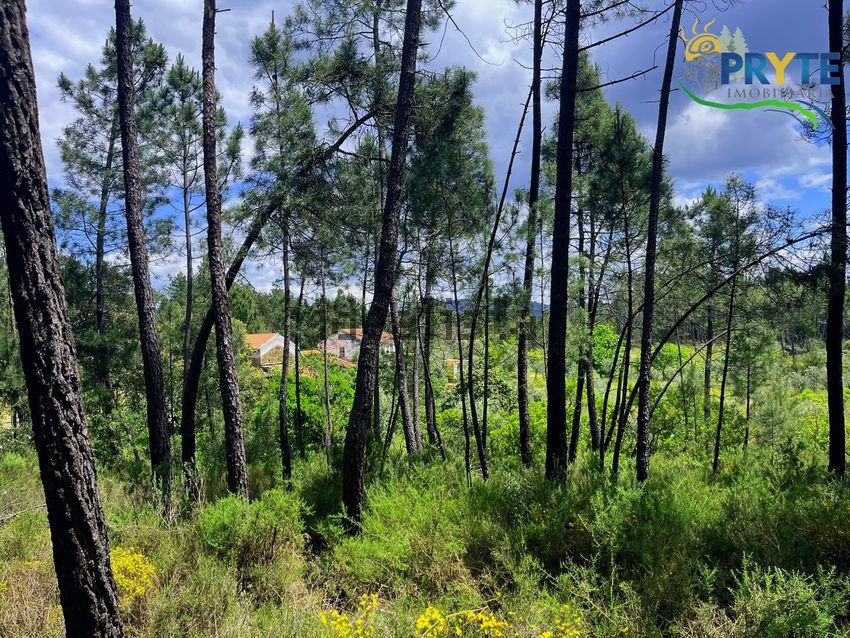Moradia T3 à venda em Cumeada e Marmeleiro, Sertã — foto 35