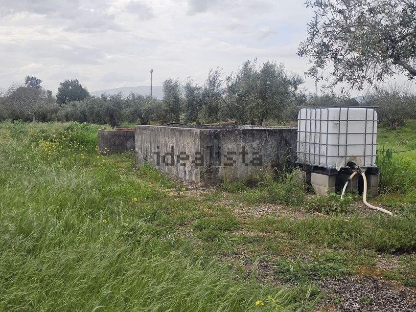Moradia T4 à venda em Paialvo, Tomar — foto 39