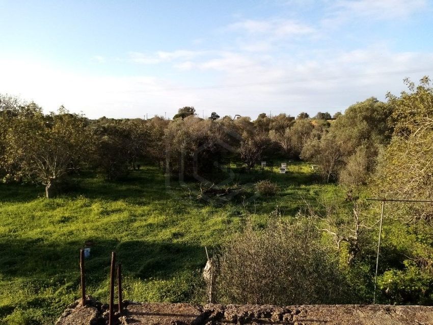 Moradia T1 à venda em Quarteira, Loulé — foto 28