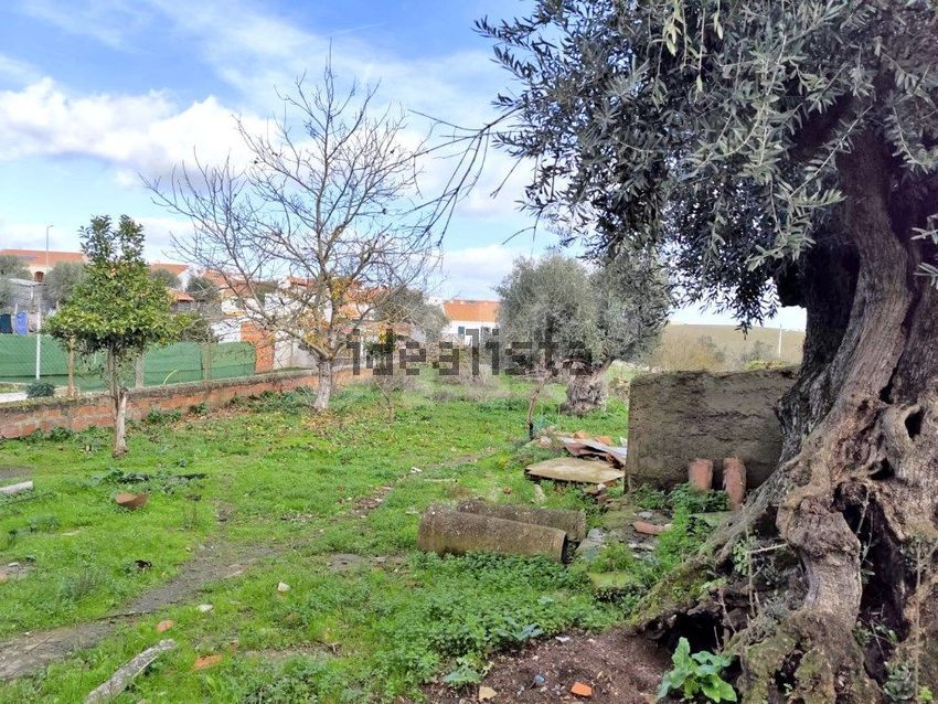 Moradia T4 à venda em Monte do Trigo, Portel — foto 19