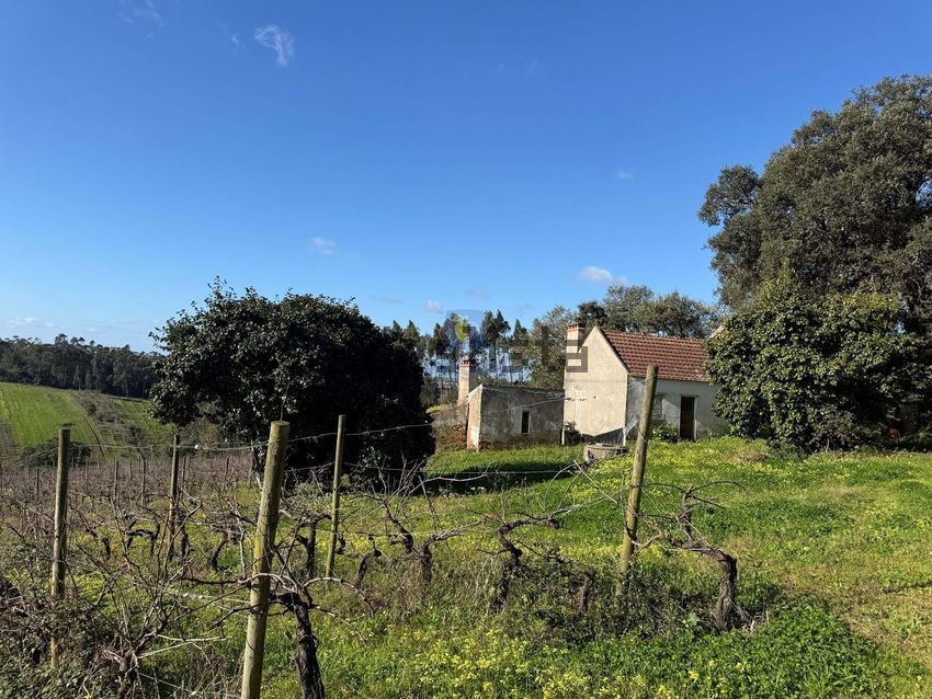 Moradia T4 à venda em Usseira, Óbidos — foto 3