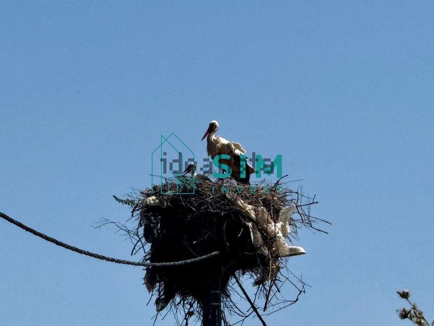 Moradia T3 à venda em São Marcos da Serra, Silves — foto 25