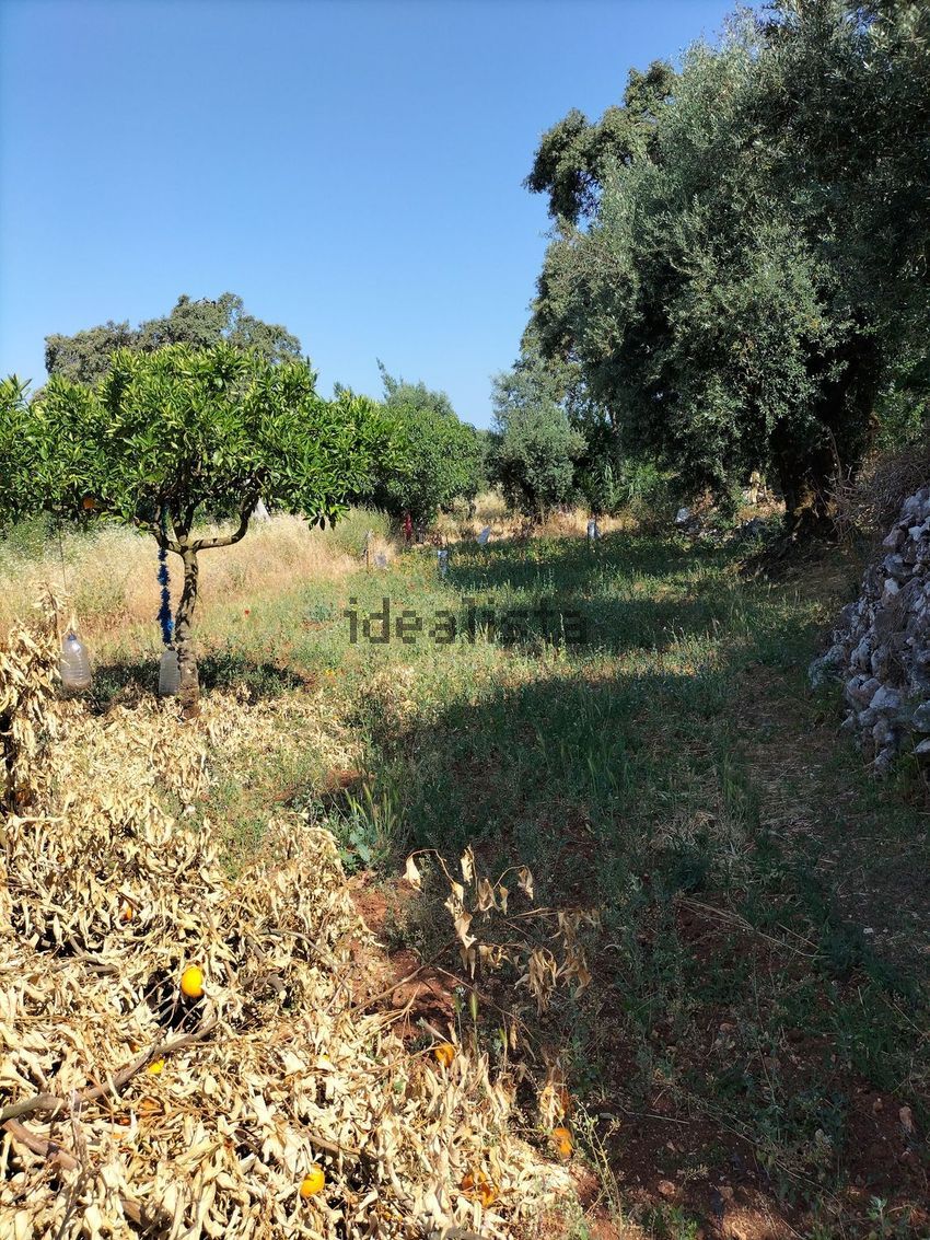 Moradia T5 à venda em Pelmá, Alvaiázere — foto 15