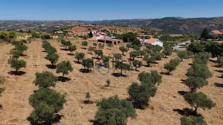 Moradia T4 à venda em Castro Vicente, Mogadouro — foto 30