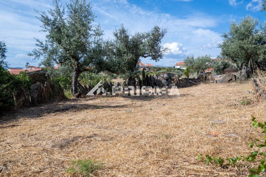 Moradia T3 à venda em Freixial e Juncal do Campo, Castelo Branco — foto 26