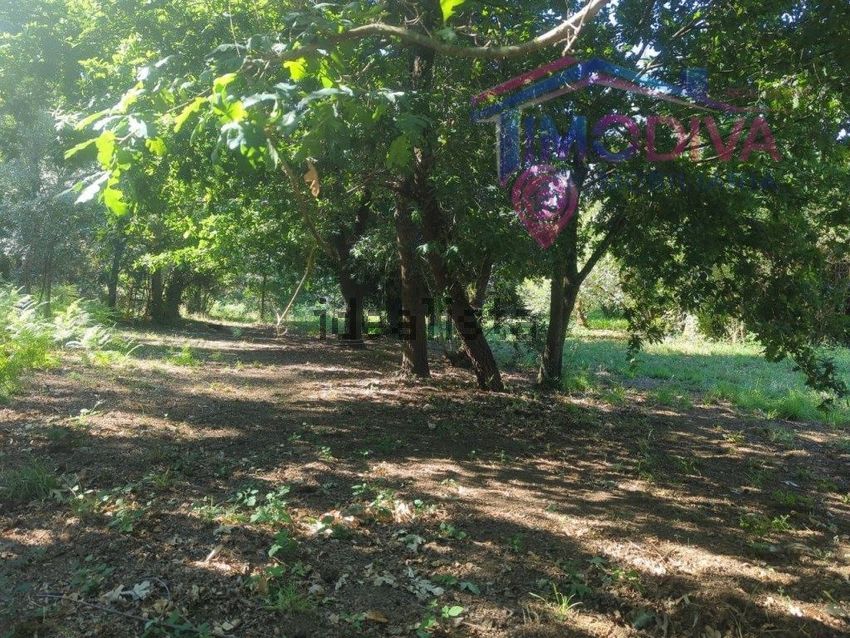 Moradia T1 à venda em Vila Facaia, Pedrógão Grande — foto 12