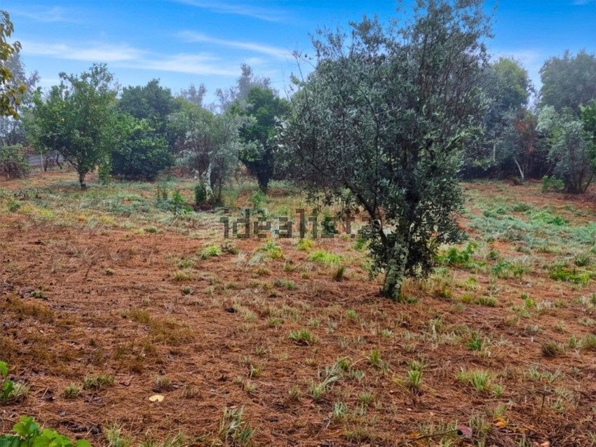 Moradia T2 à venda em Cernache do Bonjardim, Nesperal e Palhais, Sertã — foto 11