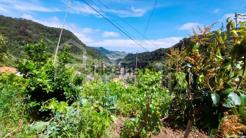 Moradia T2 à venda em Santo António da Serra, Machico — foto 17