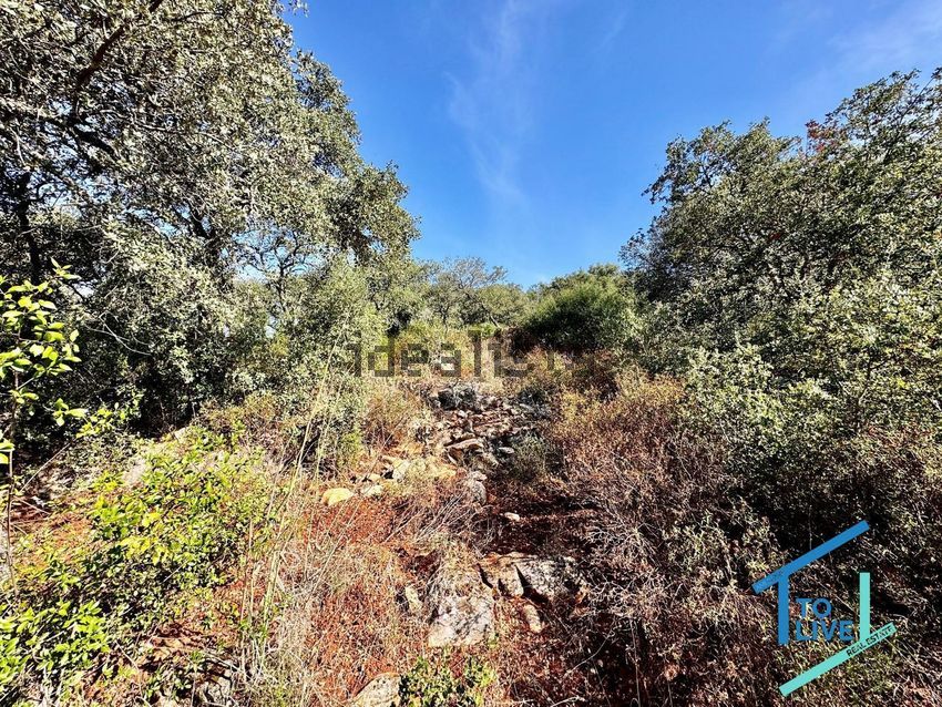 Moradia T5 à venda em Além da Ribeira e Pedreira, Tomar — foto 40