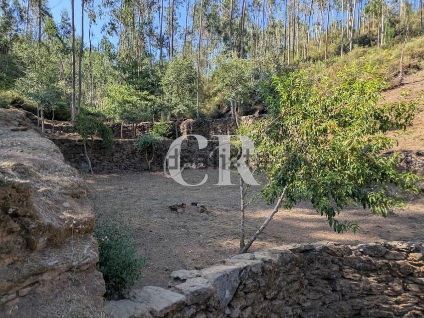 Moradia T3 à venda em Arega, Figueiró dos Vinhos — foto 35