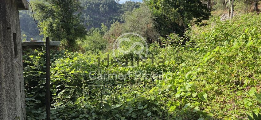 Moradia T4 à venda em Santa Cruz do douro e São Tomé de Covelas, Baião — foto 30