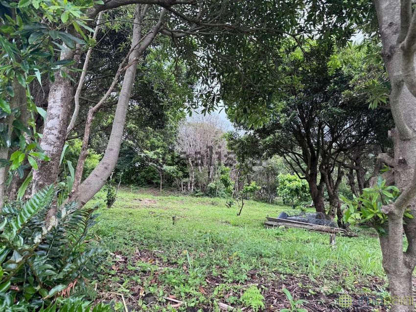 Moradia T4 à venda em Capelo, Horta — foto 22