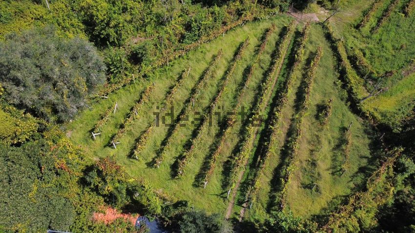 Moradia T3 à venda em Valbom (São Pedro), Passô e Valbom (São Martinho), Vila Verde — foto 12
