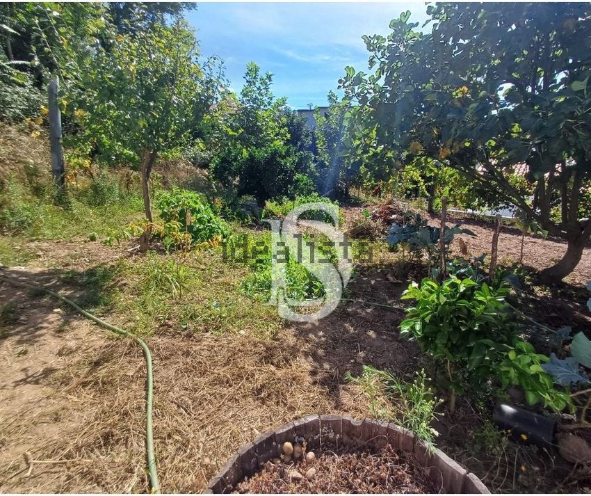 Moradia T3 à venda em Ribeira de Pena (Salvador) e Santo Aleixo de Além-Tâmega, Ribeira de Pena — foto 28