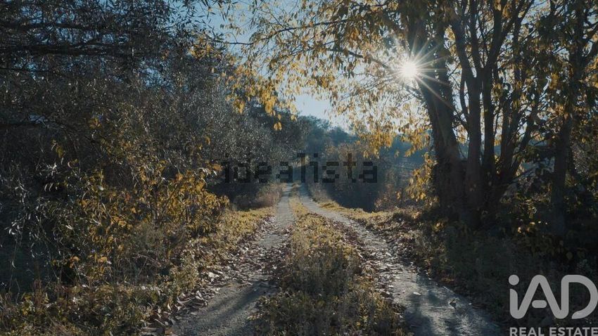Moradia T6+ à venda em Cambres, Lamego — foto 22