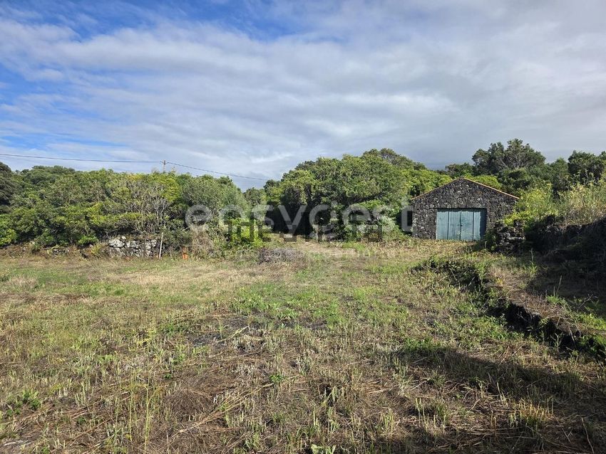 Moradia T3 à venda em Bandeiras, Madalena — foto 3