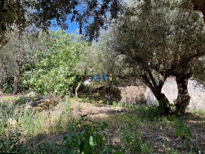 Moradia T2 à venda em Montes da Senhora, Proença-a-Nova — foto 20