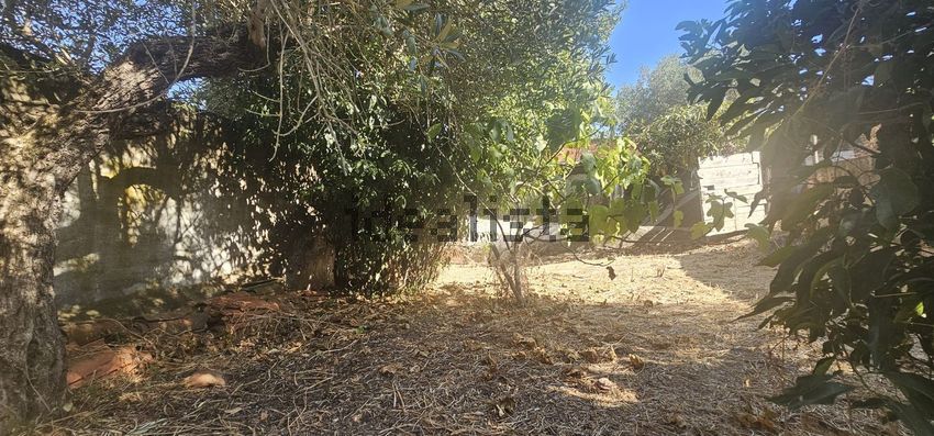Moradia T3 à venda em Safara, Moura — foto 39