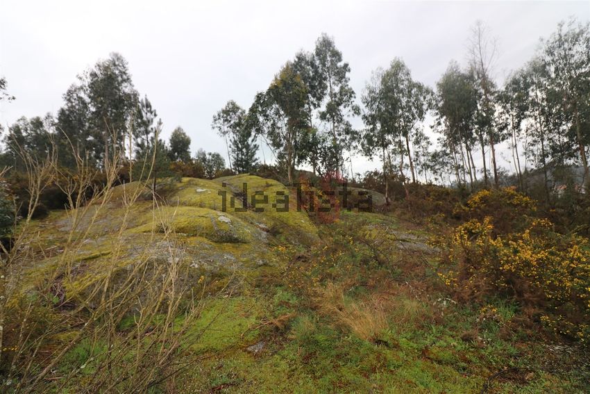 Moradia T4 à venda em Croca, Penafiel — foto 5