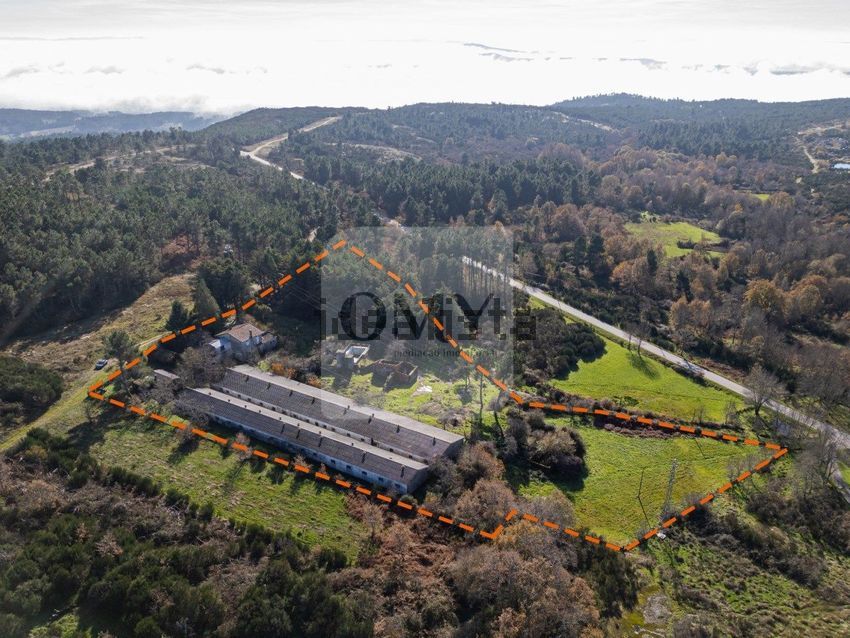 Moradia T3 em São Lourenço de Ribapinhão, €225.000