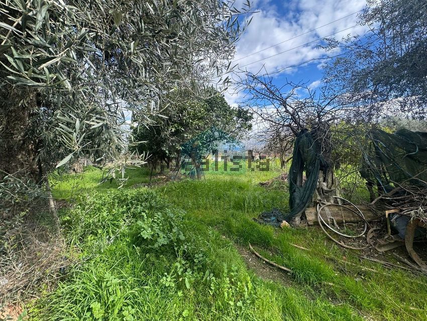 Moradia T3 à venda em Suçães, Mirandela — foto 25