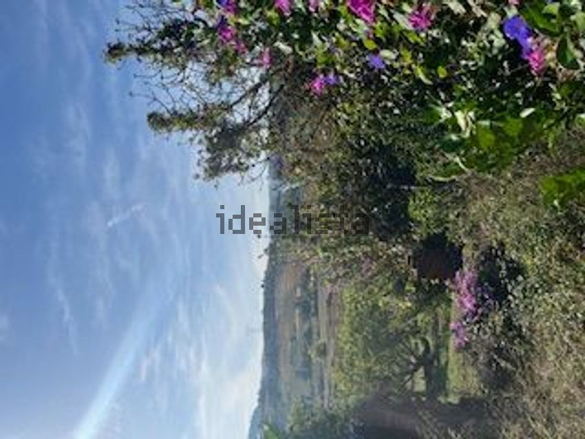 Moradia T0 à venda em Vilar, Cadaval — foto 13