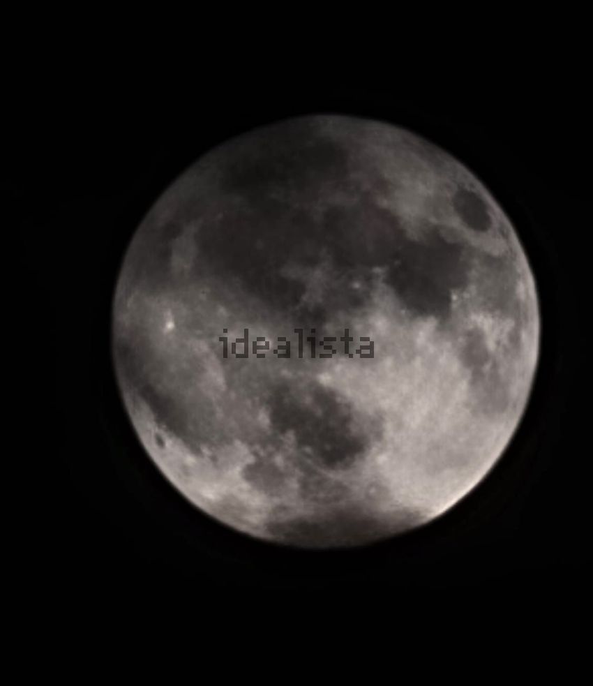 Moradia T3 à venda em Castelo Branco, Horta — foto 38
