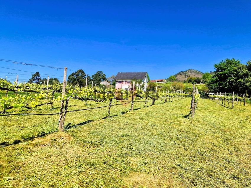 Moradia T5 à venda em Podame, Monção — foto 22