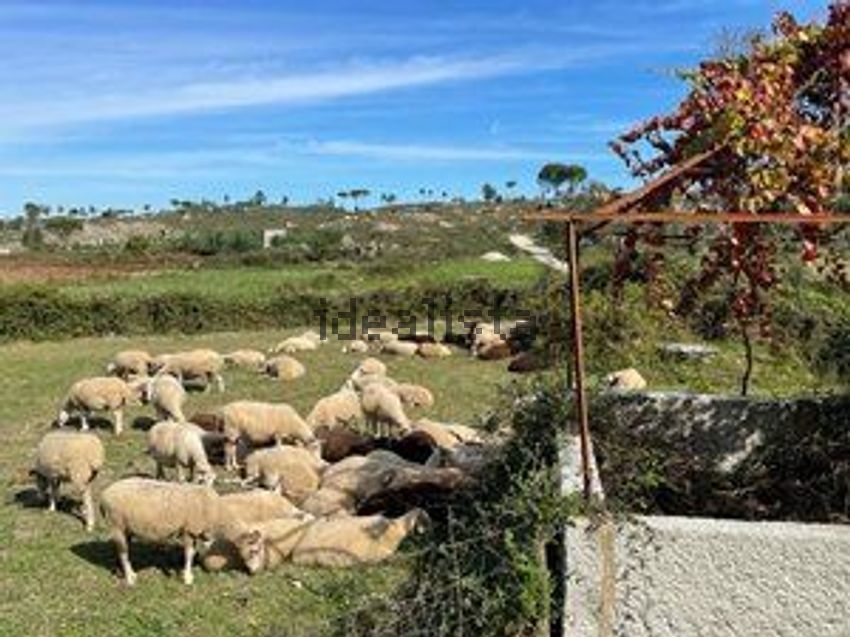 Moradia T6+ à venda em Tourais e Lajes, Seia — foto 32