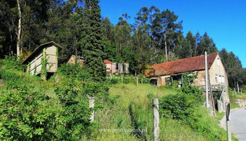 Moradia T1 à venda em Mentrestido, Vila Nova de Cerveira — foto 4