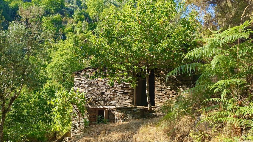 Moradia T2 à venda em Benfeita, Arganil — foto 12