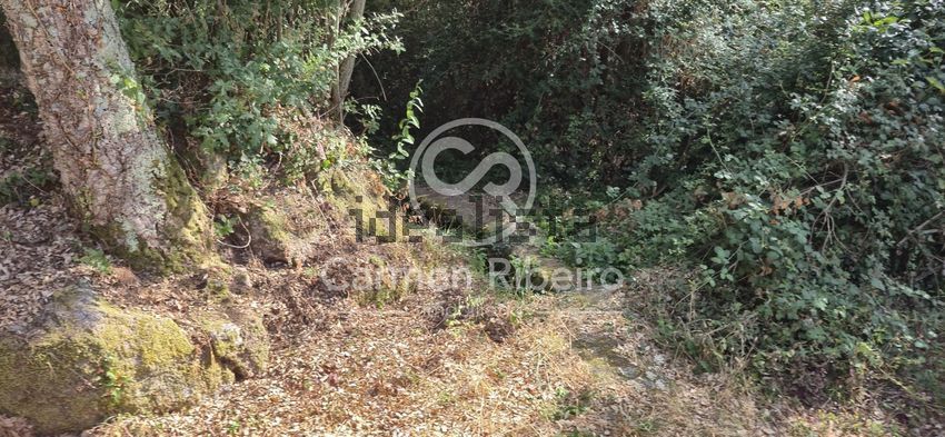 Moradia T4 à venda em Santa Cruz do douro e São Tomé de Covelas, Baião — foto 5