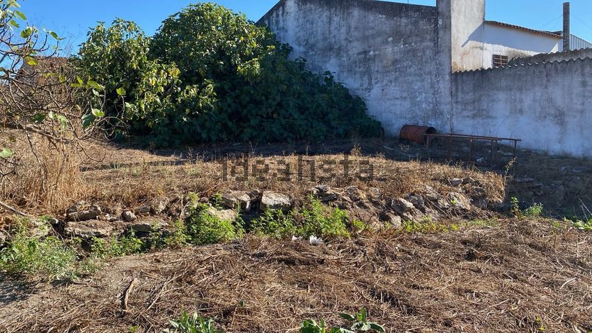 Moradia T3 à venda em Tolosa, Nisa — foto 32