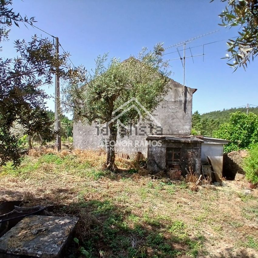 Moradia T3 à venda em Proença-a-Nova e Peral, Proença-a-Nova — foto 3