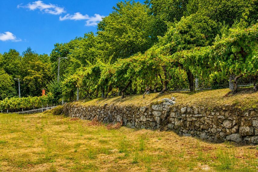 Moradia T3 à venda em Paçô, Arcos de Valdevez — foto 13