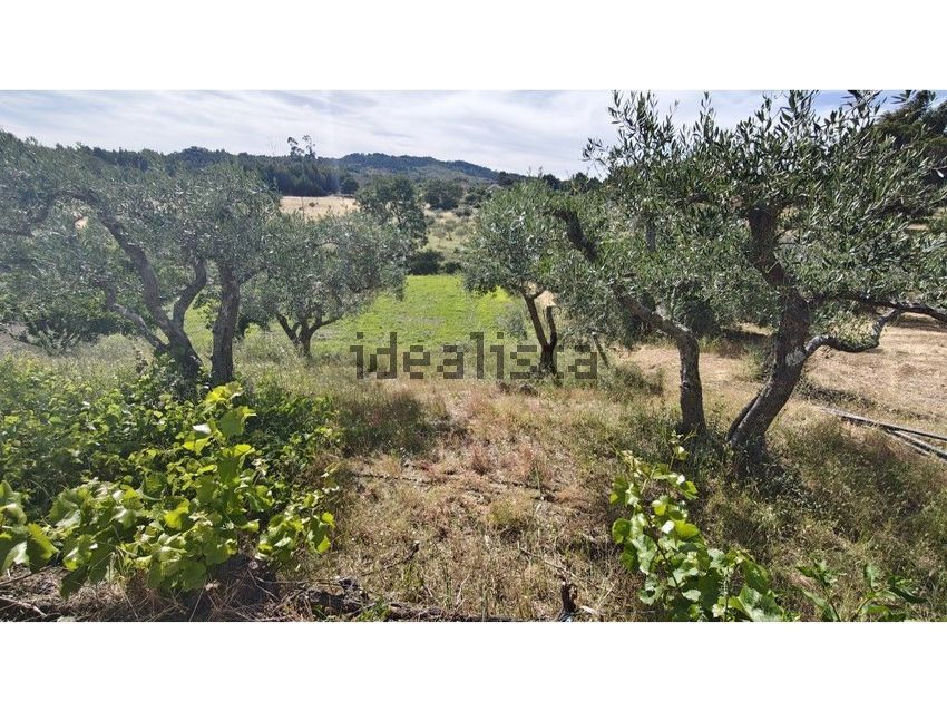 Moradia T4 à venda em Vale de Prazeres e Mata da Rainha, Fundão — foto 28