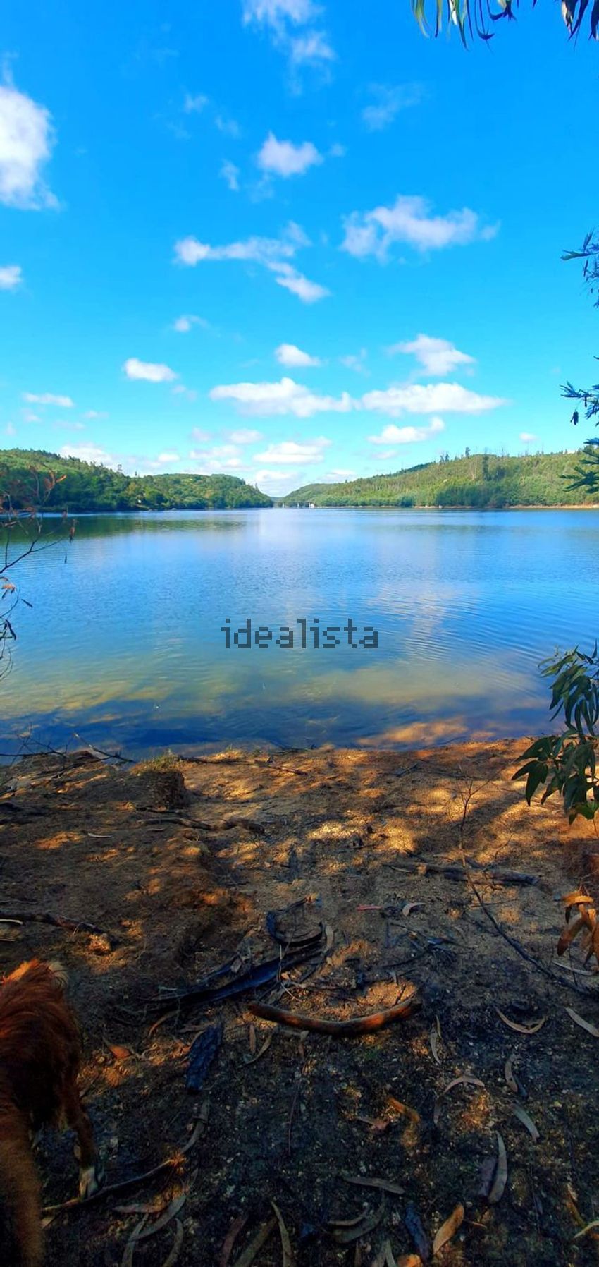 Moradia T3 à venda em São João de Areias, Santa Comba Dão — foto 22