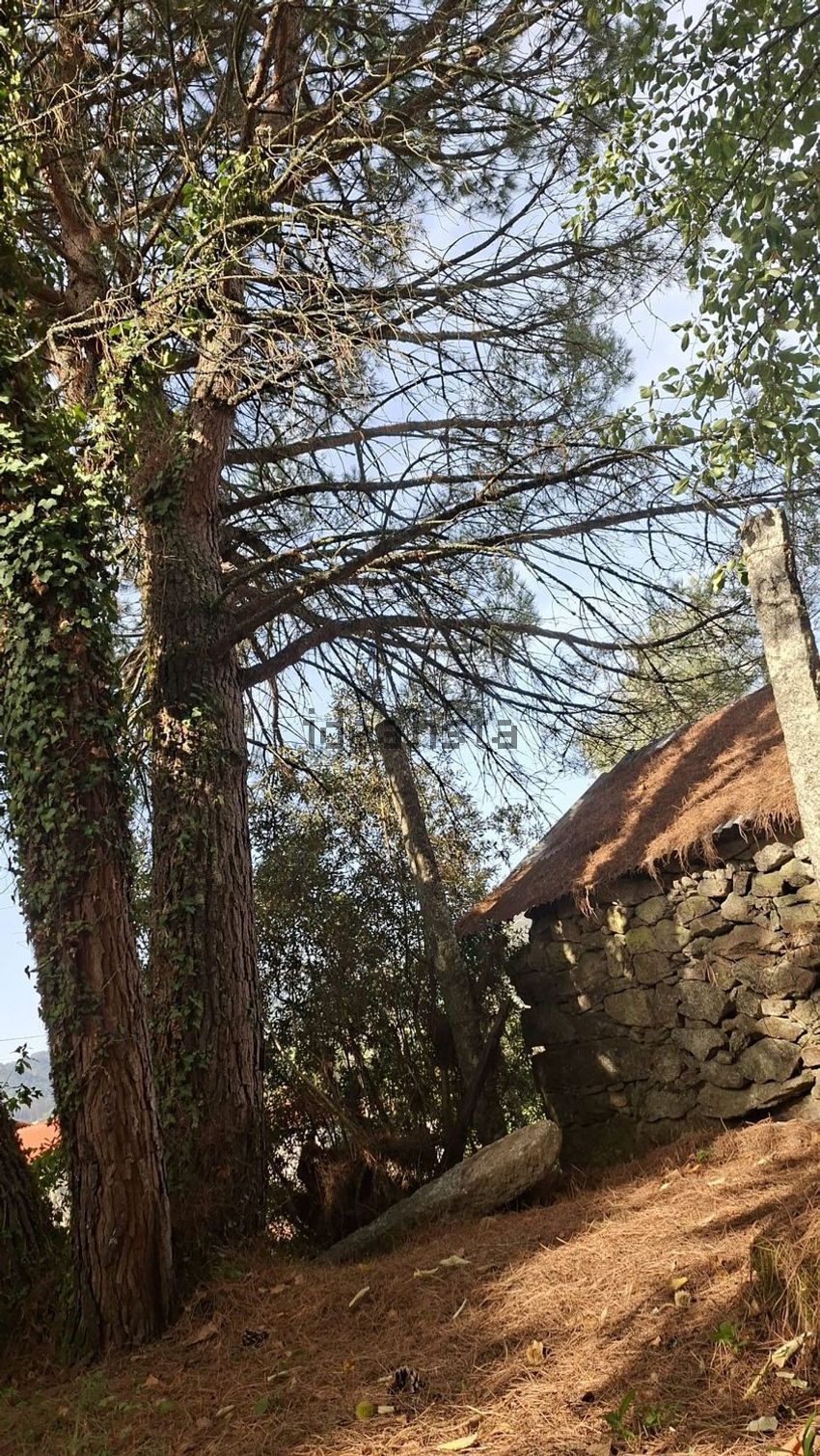 Moradia T0 à venda em Couto, Arcos de Valdevez — foto 15