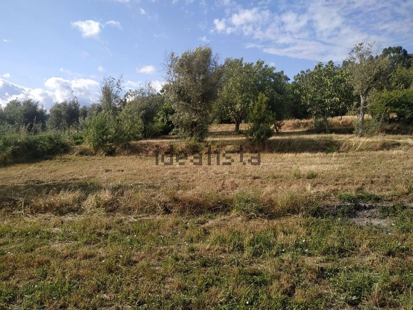 Moradia T2 à venda em Vila Nova de Tazem, Gouveia — foto 30